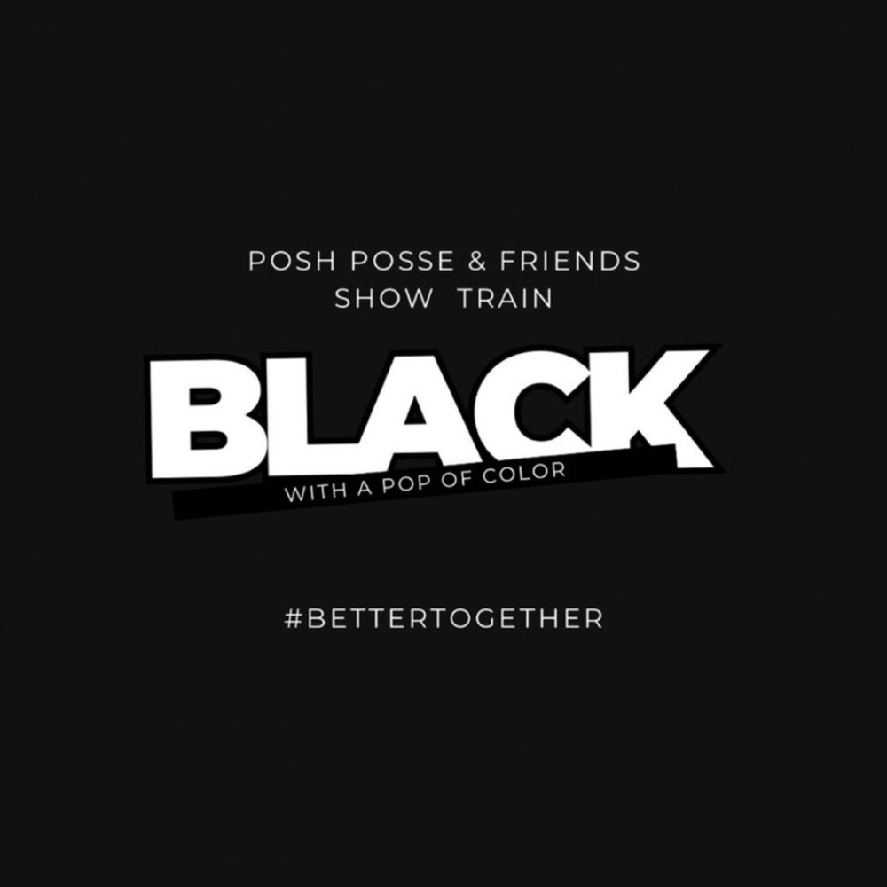 10/11/25 PPF BLACK AND TOUCH OF COLOR SHOW TRAIN-STYLZZ_4_U 6-8pm EST 🚂
SM-4X